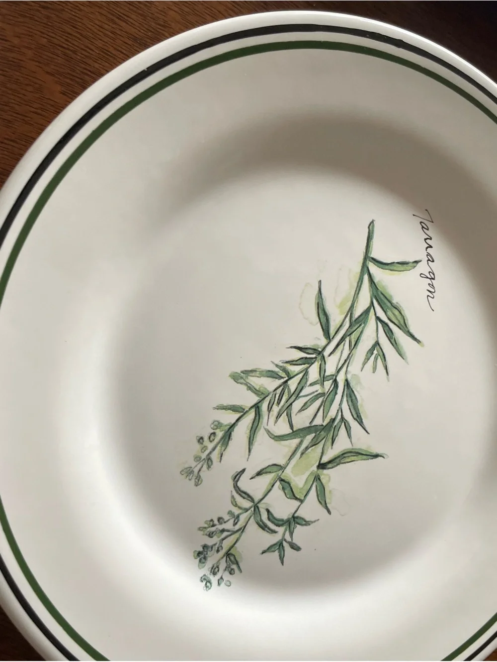 WILLIAMS SONOMA Portugal HERBS SALAD PLATES set of 4 Bay Thyme Cayenne Tarragon